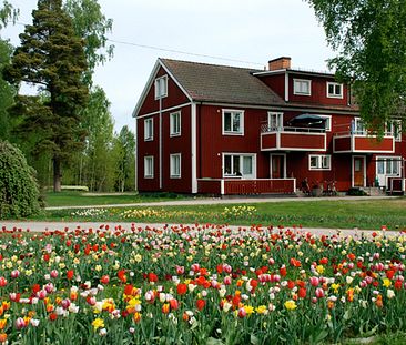 Oppboga: Rymlig välplanerad tvåa med uteplats - Foto 1