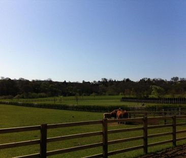 2 bedroom bungalow to rent - Photo 3