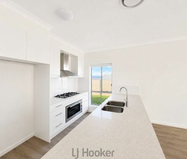 Modern Family Home in Peaceful North Rothbury - Photo 3