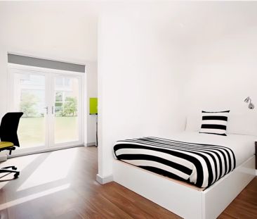 Studio Gold - Photo 1