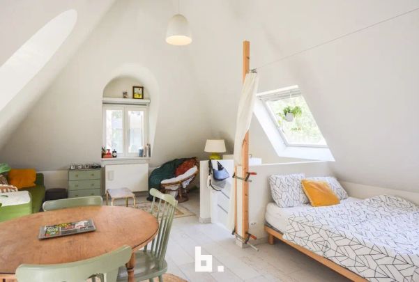 Prachtige instapklare studio/studentenkamer - hartje Brugge - Foto 1