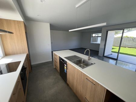 Brand new 3 bedroom in Vogeltown - Photo 3
