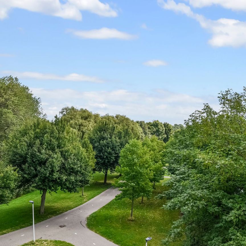 Appartement te huur: Zuster Meijboomstraat 115 2331 PG Leiden - Foto 1