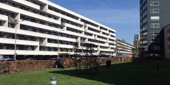 Boksdoornerf, 657 - Foto 3