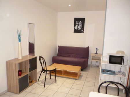 Location appartement à Saint-Pol-de-Léon 19.92m² - Photo 3