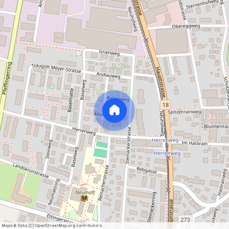 Ahornweg 7, 4147, Aesch Bl