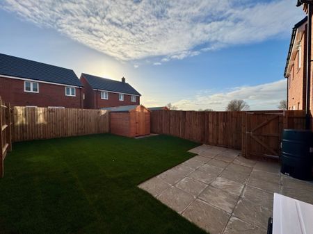 Violet Street, Lakenheath - Photo 5