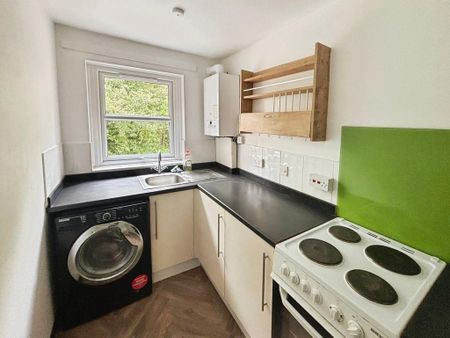 Studio to rent - Photo 3