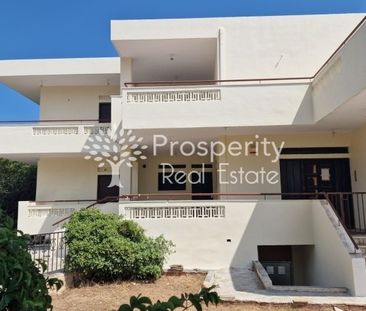 Μονοκατοικία 229 τ.μ. προς ενοικίαση - Photo 3