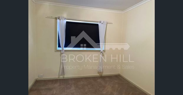 335 Wyman Lane, Broken Hill, NSW, 2880. - Photo 1