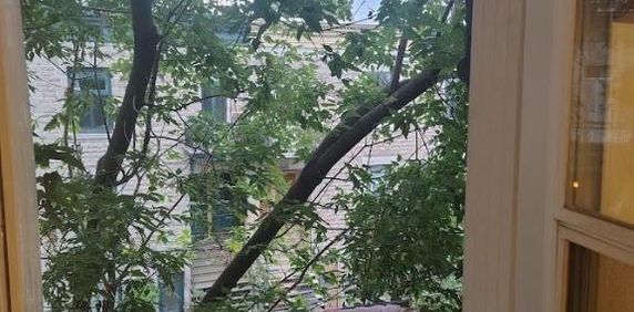 6 1/2 - Montréal (Le Plateau Mont-Royal) - 795 $/mois - Photo 2