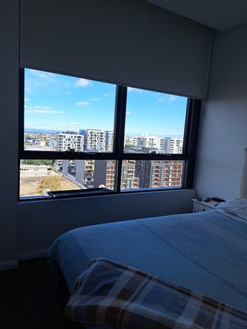 Zetland - Photo 3