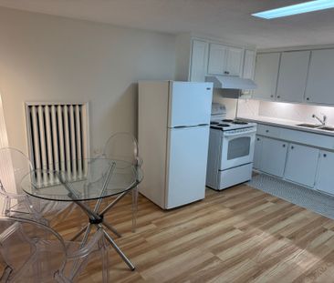 For Lease - 227 Evelyn Avenue Unit# Basement, Toronto, Ontario - Photo 4