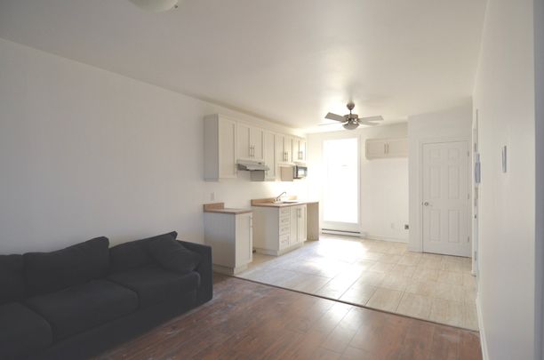 Condo à louer, Montréal (Rosemont/La Petite-Patrie) - Photo 1