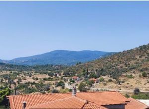 Μονοκατοικία για ενοικίαση - Μεσσαπία, - Photo 4