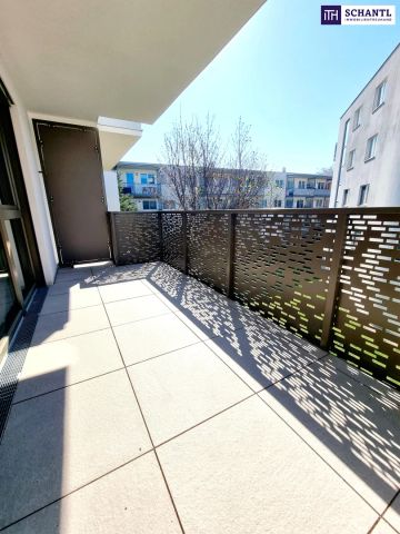 Grünblick für die Seele! Kleine Wohnung - Große Freude! Großer, hofseitiger Balkon + Blick ins Grüne + Komplette Hofruhelage + Energieeffizienz + Perfekte Anbindung und Nahversorgung! Jetzt zugfreifen! - Photo 5