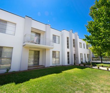 Leafy Living in Braddon - Photo 1
