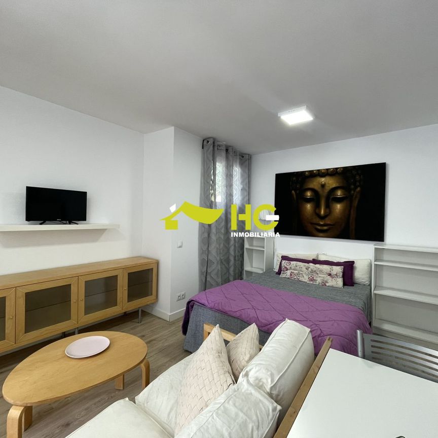 Alquiler Estudio en Urbanización - El Bosque, Villaviciosa De Odón - Foto 1