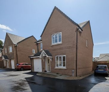 Rose Way, Lakenheath - Photo 6