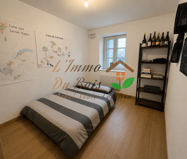 Location Appartement 1 pièce 29m² TOURNON SUR RHONE 07300 - Photo 3
