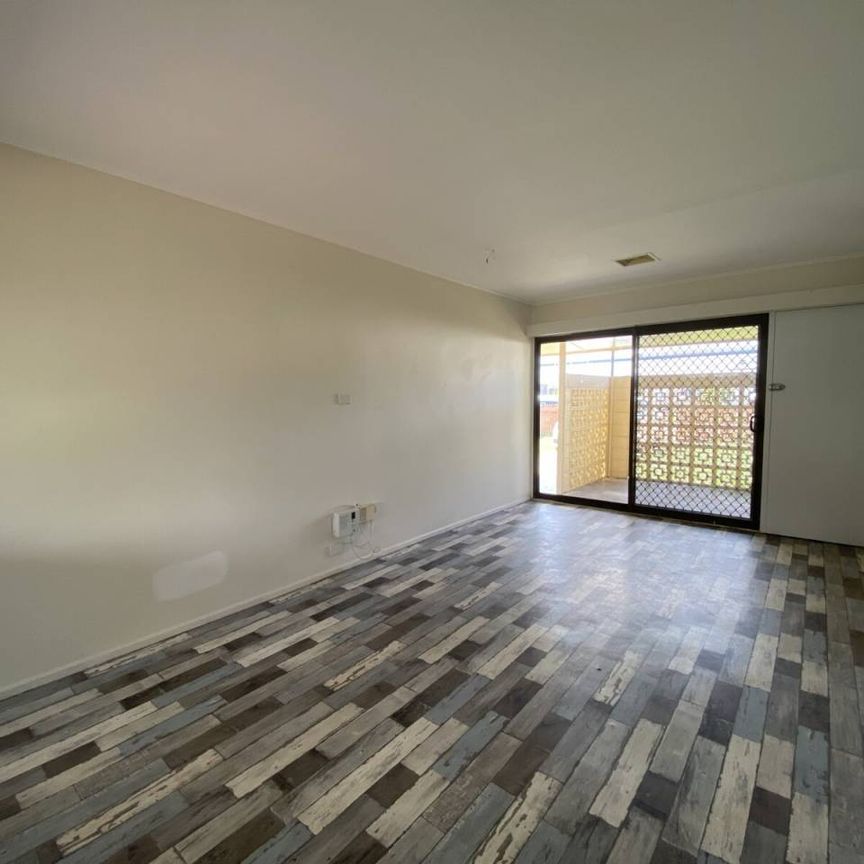 AITKENVALE CUTIE - Photo 1