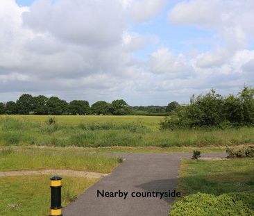 3 bedroom house to rent - Photo 1