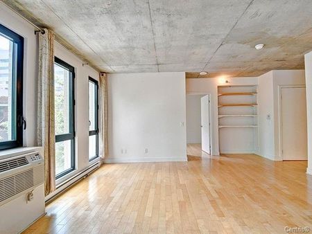 Condo for rent, Montréal (Ville-Marie) - Photo 4