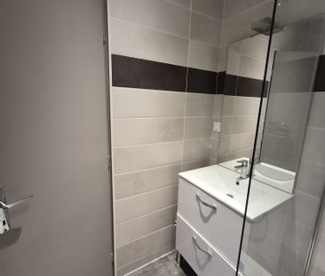 Location Appartement 2 pièces 41m² CONDRIEU 69420 - Photo 4