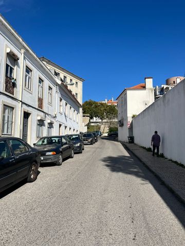 Luminoso Apartamento T1 com Terraço em Belém – Totalmente Remodelado - Photo 5