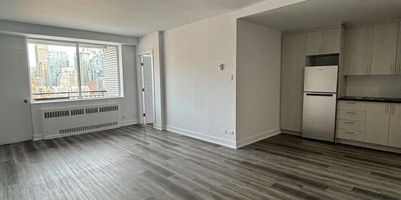 1 CH - 1 SDB - Montréal - $1,575 /mo - Photo 3