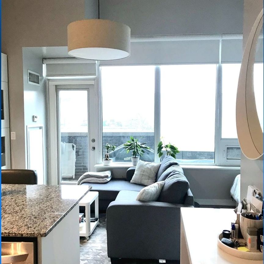 For Lease - 55 E Liberty Street Unit# 106, Toronto, Ontario - Photo 1