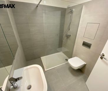 Pronájem bytu 1+kk v osobním vlastnictví 45 m², Plzeň - Photo 1