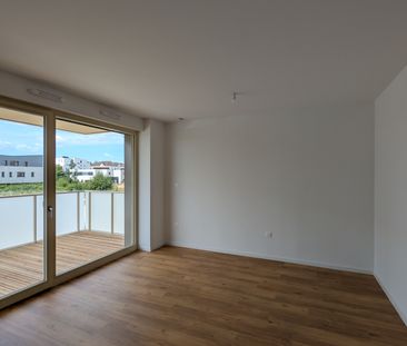 Location Appartement 1 pièce 30m² MITTELHAUSBERGEN 67206 - Photo 1