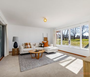 49 Holman Street, Curtin ACT 2605 - House For Rent | Domain - Photo 1