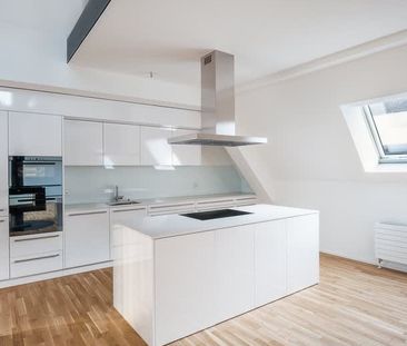 3.5 Zimmer, 293 m², 2. Stock - Foto 2