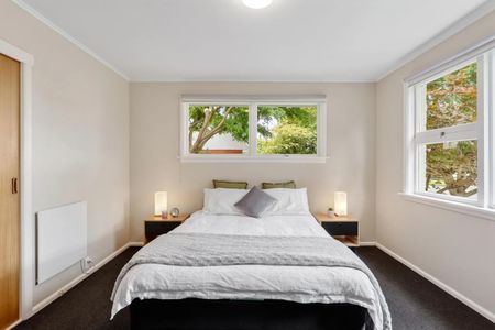 Ilam 7 Bedrooms Plus Study - Photo 5
