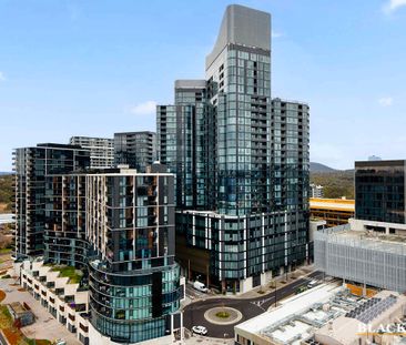 "HIGH SOCIETY" - Photo 3