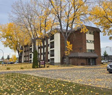 Spacious Two Bedroom unit on South Hill - Photo 6