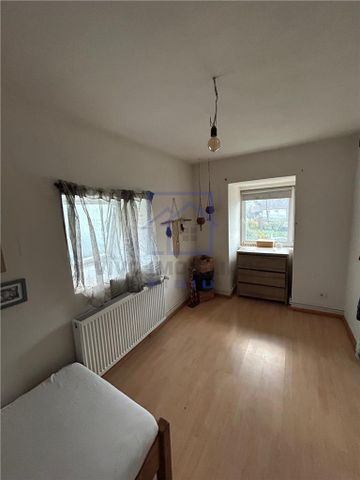 Casa de inchiriat in Sibiu - 6 camere, teren 1030 mp, pet friendly, zona Viile Sibiului de inchiriat - Fotografie 4