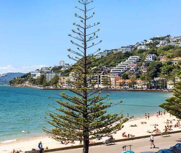 Smart iconic Studio opposite Oriental Bay beach - Photo 3