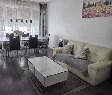 3½-ROOM APARTMENT IN GRAND-LANCY (GE), FURNISHED, TEMPORARY RENTAL - Foto 1