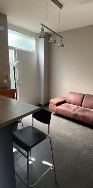 Location Appartement 2 pièces 27m² ST ETIENNE 42000 - Photo 1