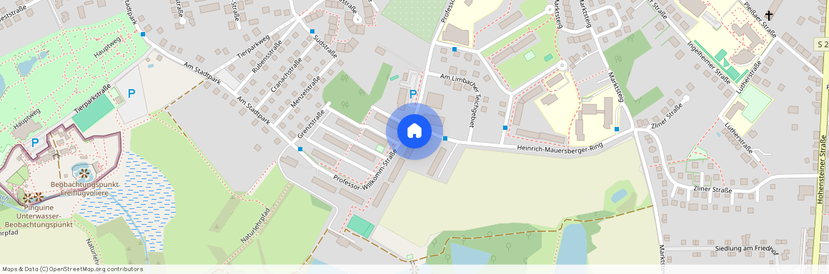 Prof.-Willkomm-Straße 10a, 09212 Sachsen - Limbach-Oberfrohna