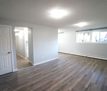 AMAZING newly reno'd Apartment in Lacombe! CATS OK! - Photo 6