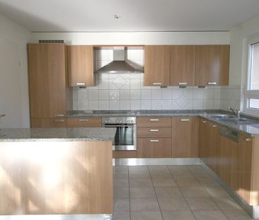 Villa jumelée de 6 pièces avec terrasse et jardin à Bellevue - Photo 6