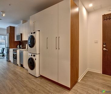 125 rue Charlotte - Unité 3 ½ - Le Zendo, Ville-Marie (Centre-Ville et Vieux-Montréal) à louer - Photo 2