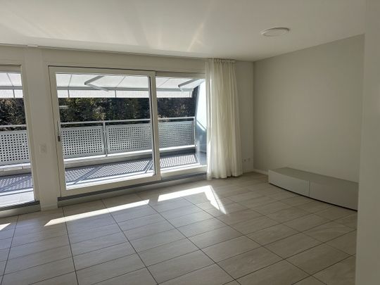 SAVOSA attico 3 locali con terrazza e giardinetto in affitto - Foto 1