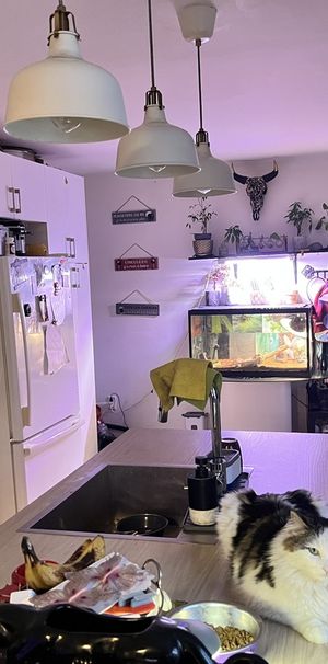 Grand 4 1/2 Sur 2 étages - Photo 1