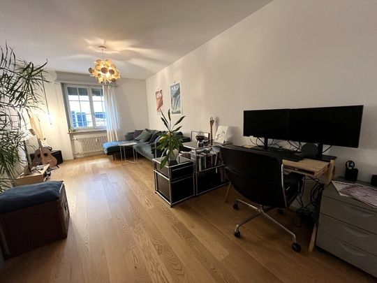 APPARTEMENT 31/2 PIÈCES À BERNE - VIEILLE VILLE, MEUBLÉ, TEMPORAIRE - Photo 1