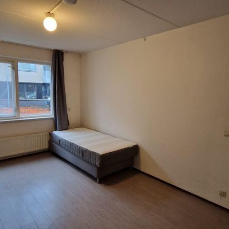 Rembrandtlaan - Foto 3